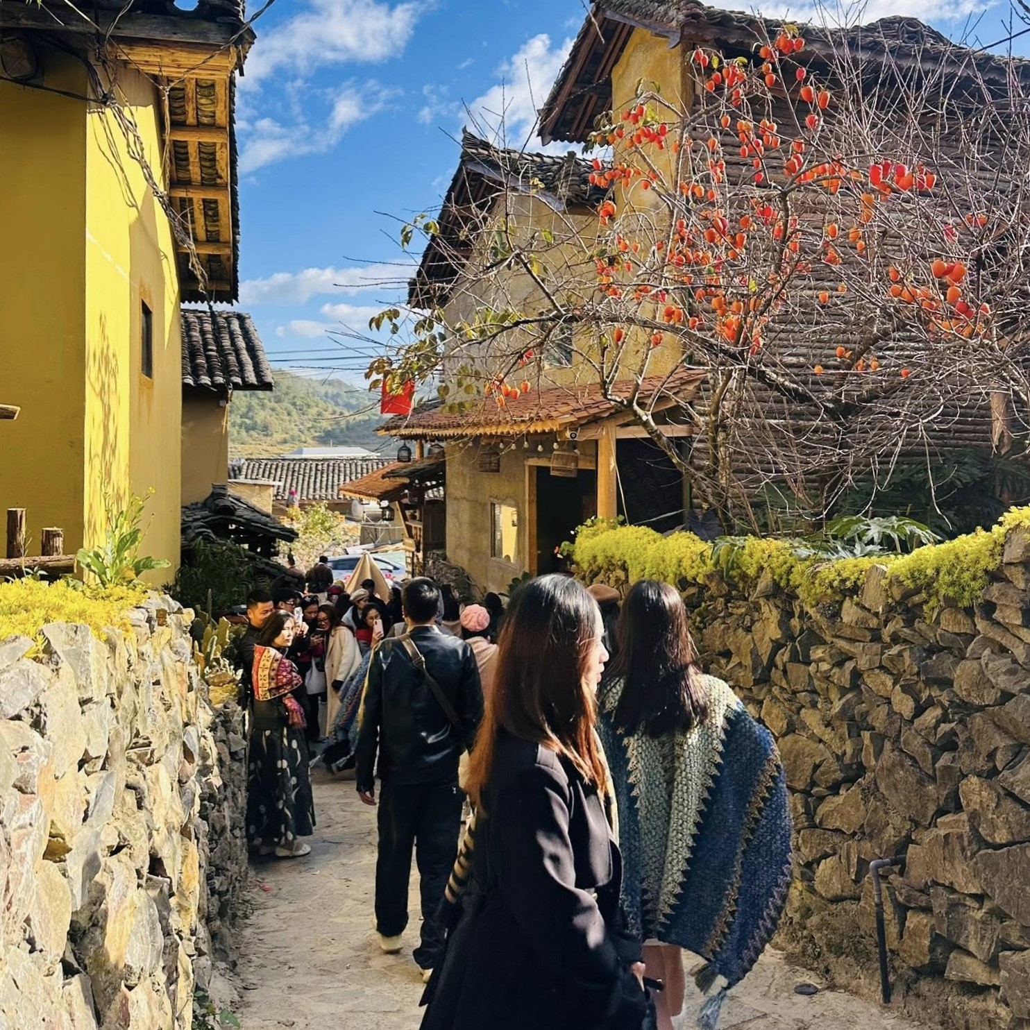 Khách xếp hàng chờ đến lượt chụp cây hồng ở Lô Lô Chải.