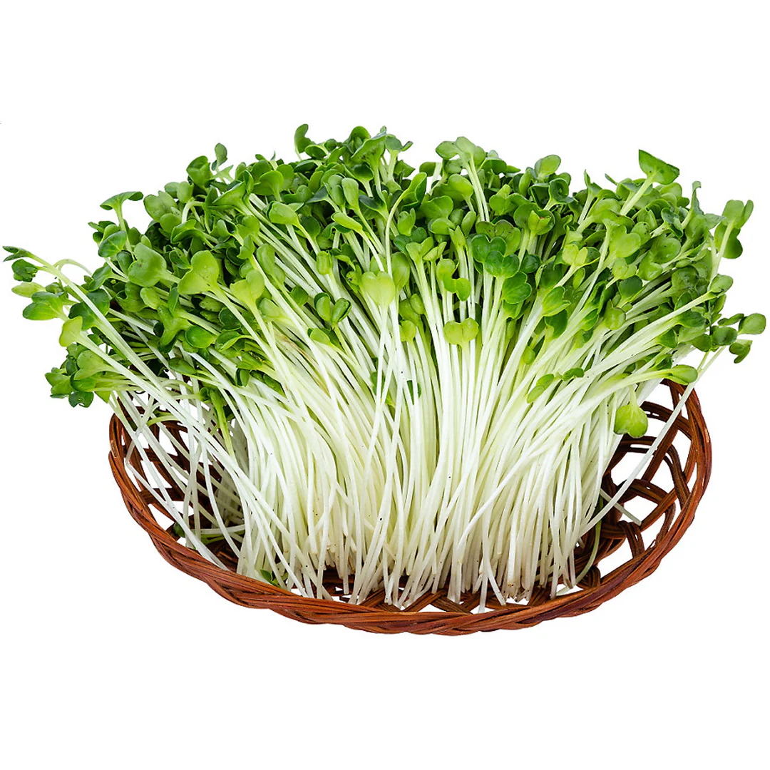 rau mầm và rau non